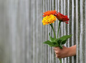 Beratung fuer Eltern