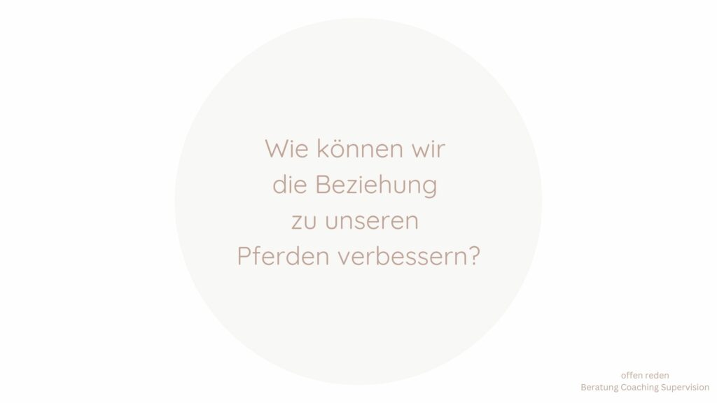 Wie können wir die Beziehung zu unseren Pferden verbessern?