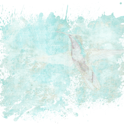 Beratung für hochsensible Menschen Hochsensibilität